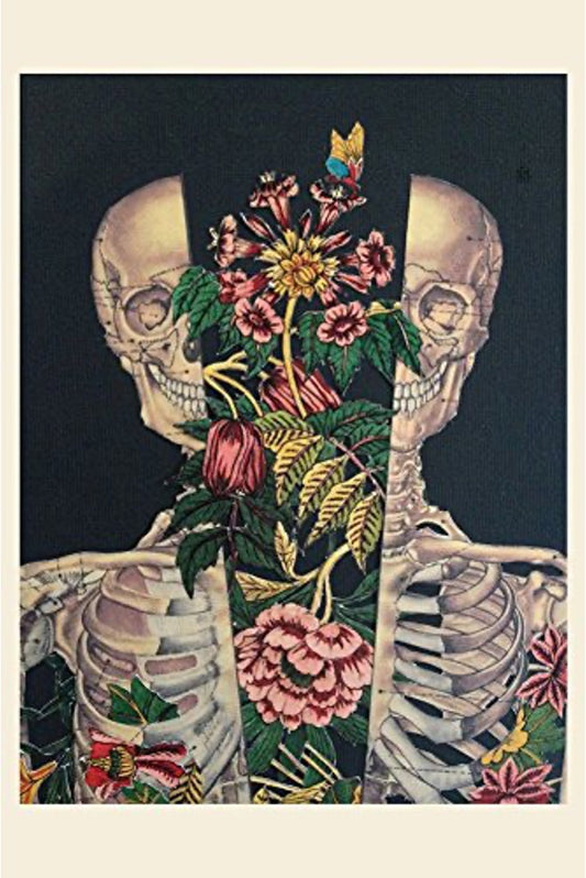 ANATOMY: 30 DELUXE POSTCARDS