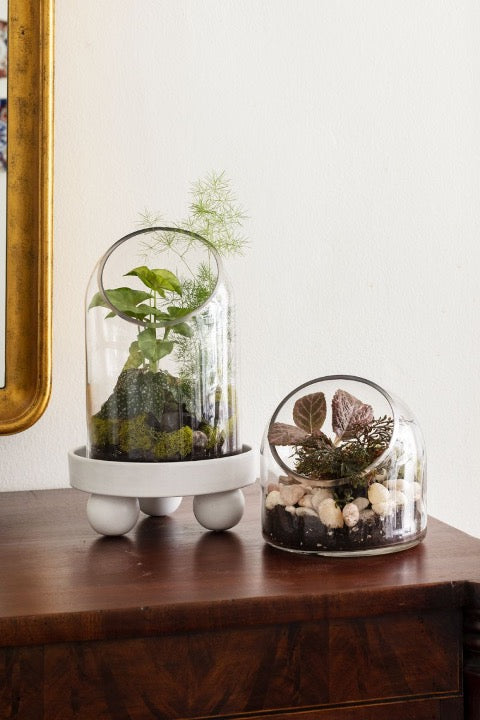 Set of glass terrariums with slanted cut edge, filled with foliage, rocks, and soil.