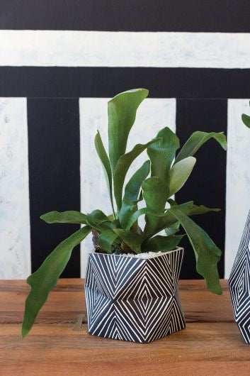 Abstract pot with linear designs in black and white with a plant.