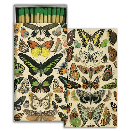 Box of matches with butterfly graphic illustration butterfly specimens..