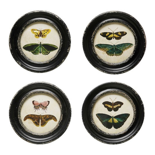 Four round wall art of moths and butterflies
