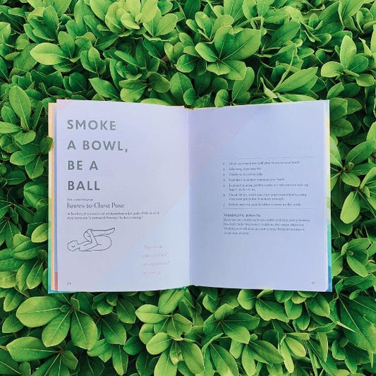 Open book on top of green leaves.