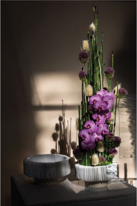 Set of white ceramic compotes with thin slices pattern. Purple orchid and bamboo arrangement