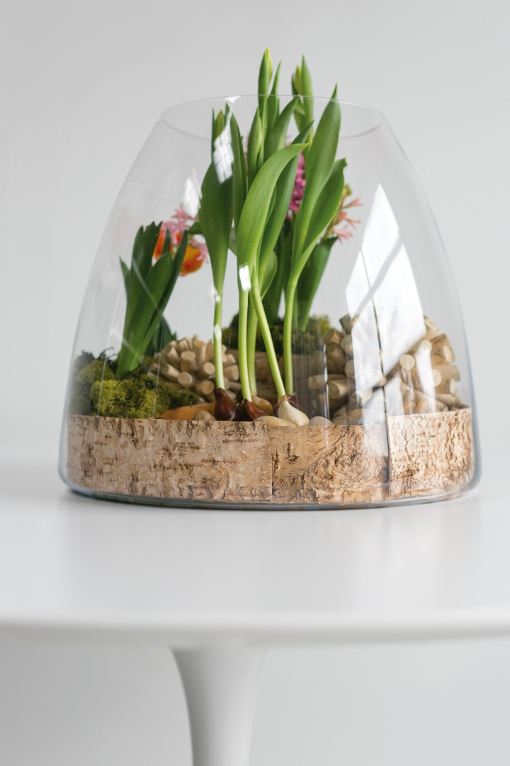 JUMBO TERRARIUM