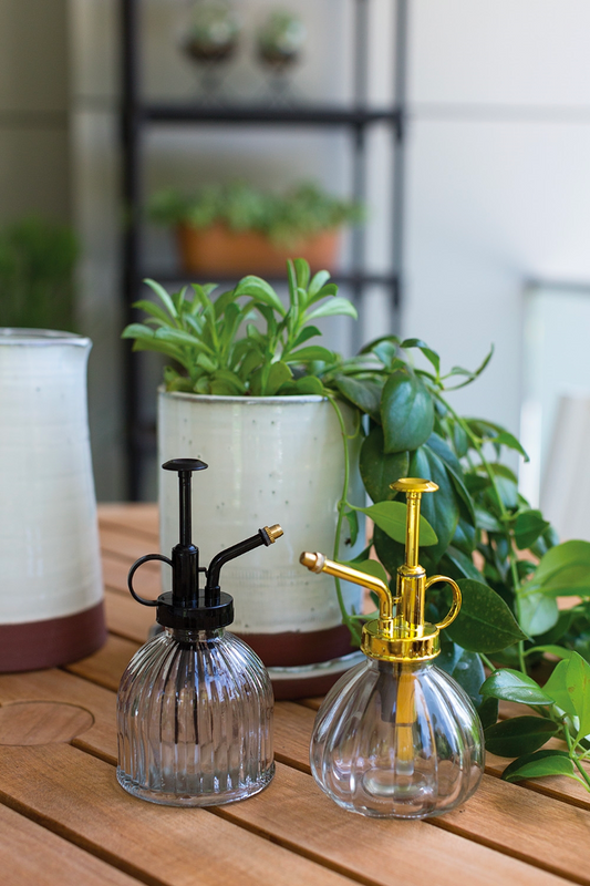 CARLISLE PLANT MISTER