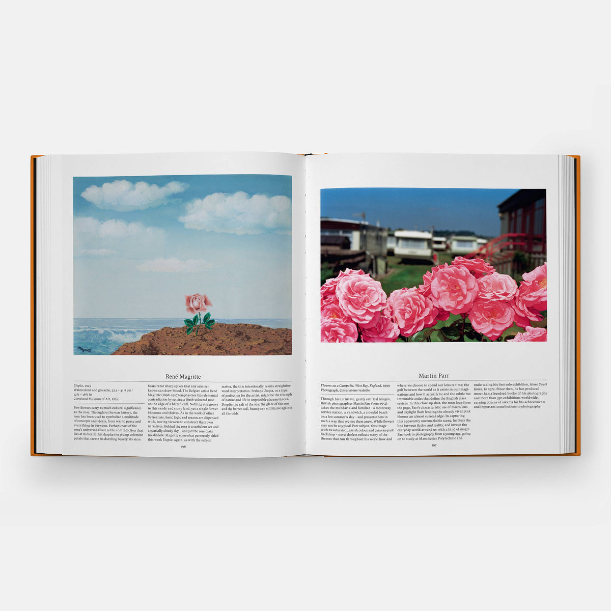 Open Flower book spread with a Rene Magritte rose painting beside a Martin Parr photo of pink roses