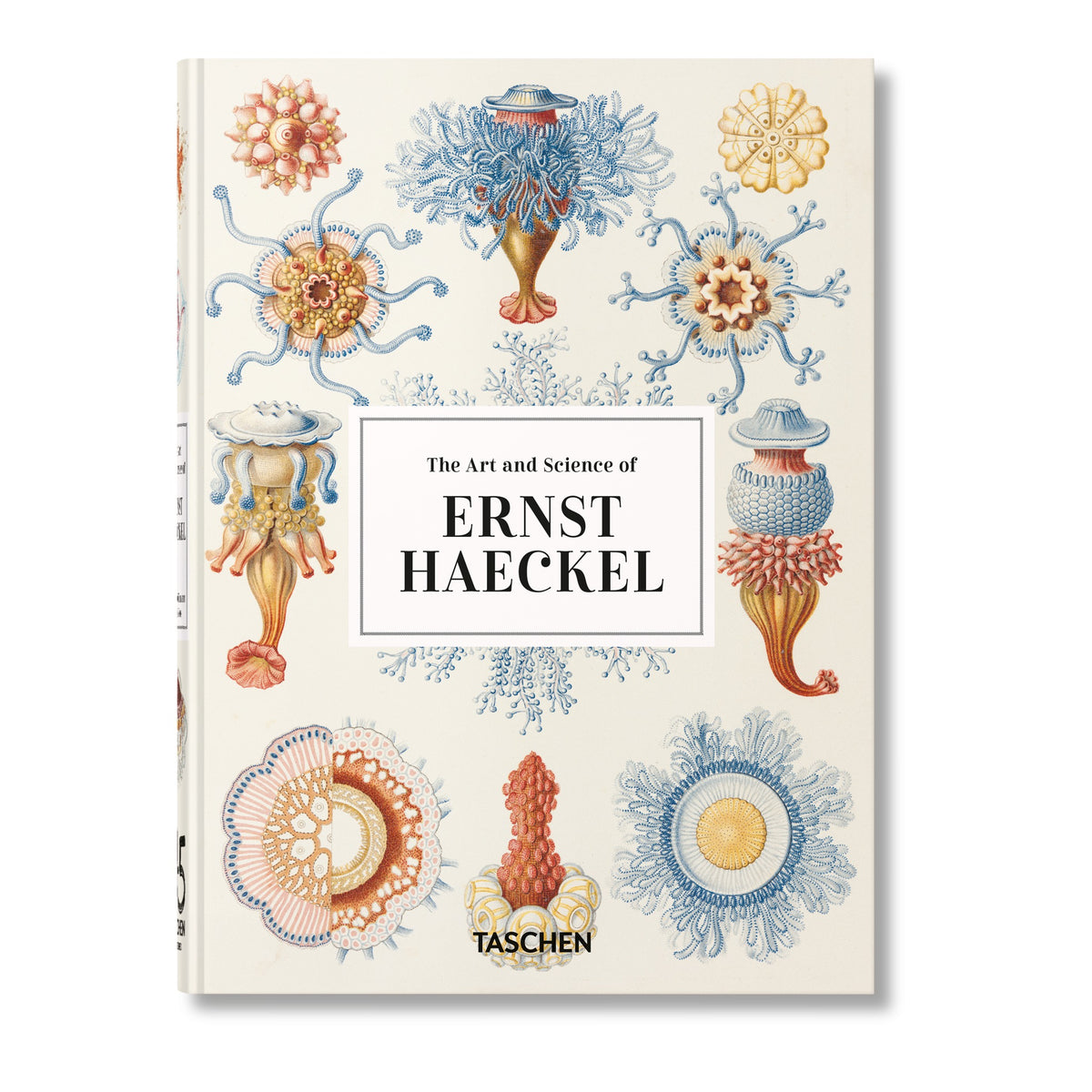 The Art and Science of Ernst Haeckel cover with colorful jellyfish and sea creature illustrations