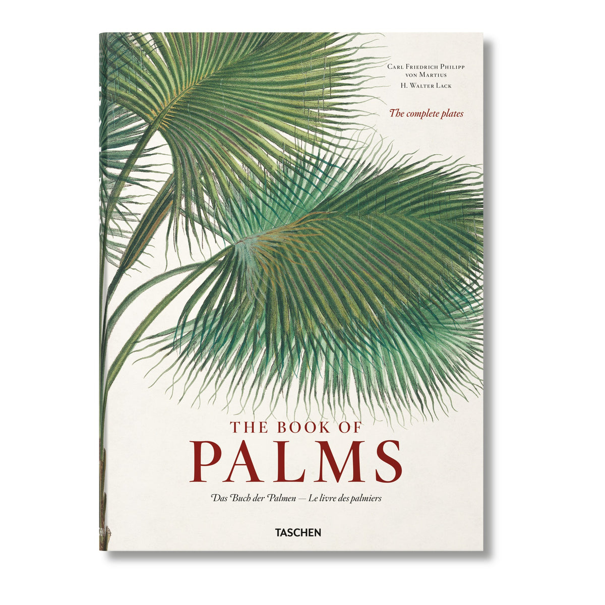 The Book of Palms by Taschen, cover with a green fan palm illustration and red title text