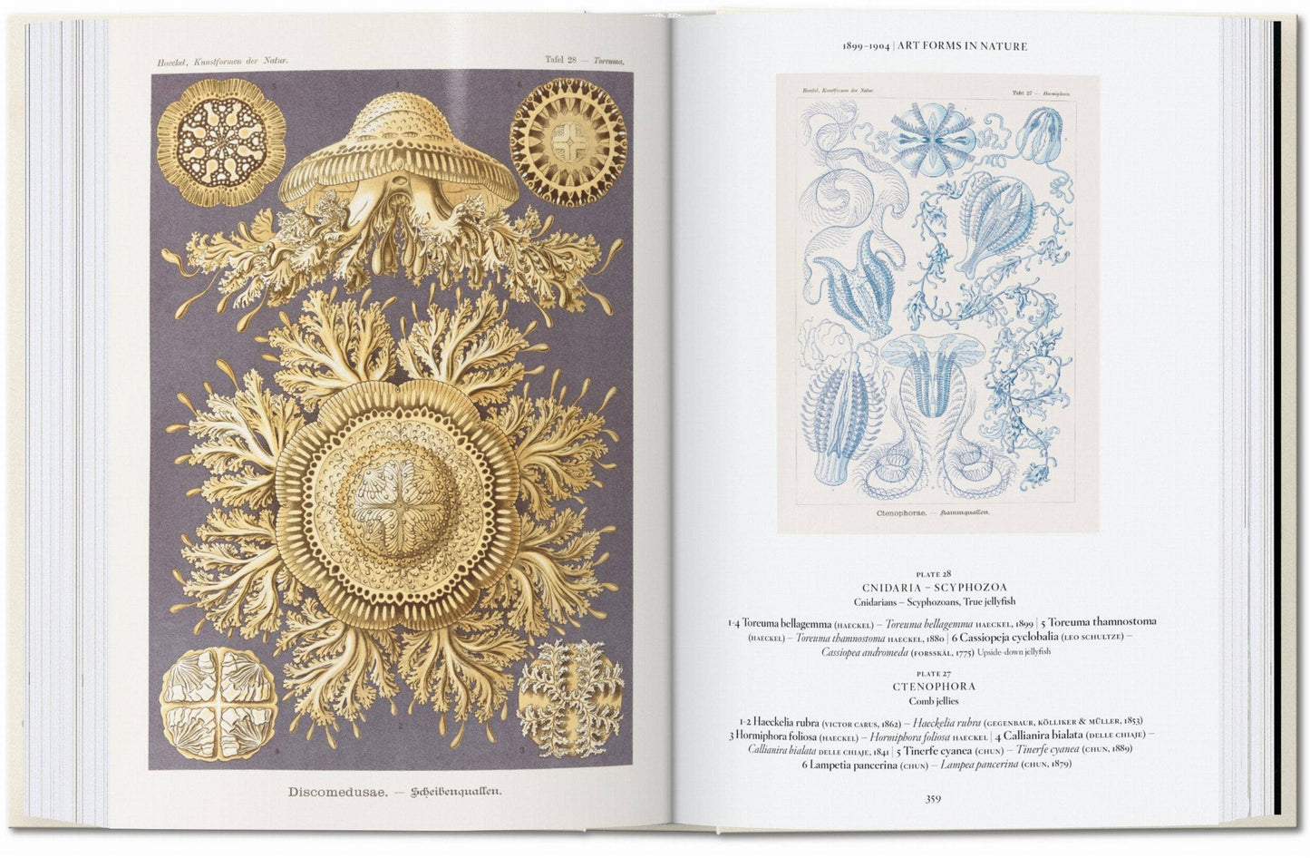 The Art and Science of Ernst Haeckel. 45th Ed (English)
