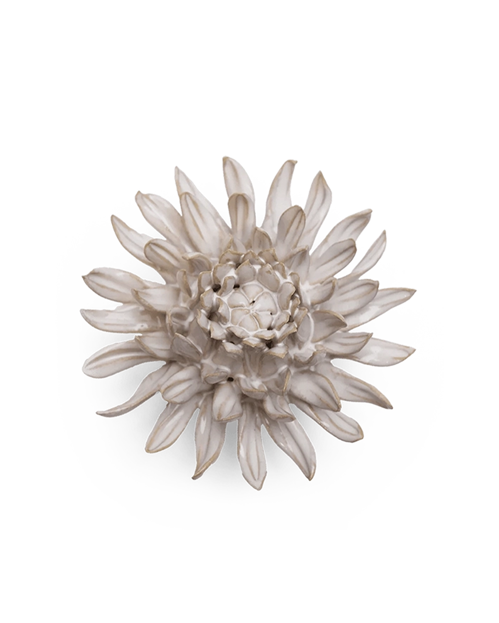 Ivory Spider Mum ceramic flower with pointed, layered petals around a textured center