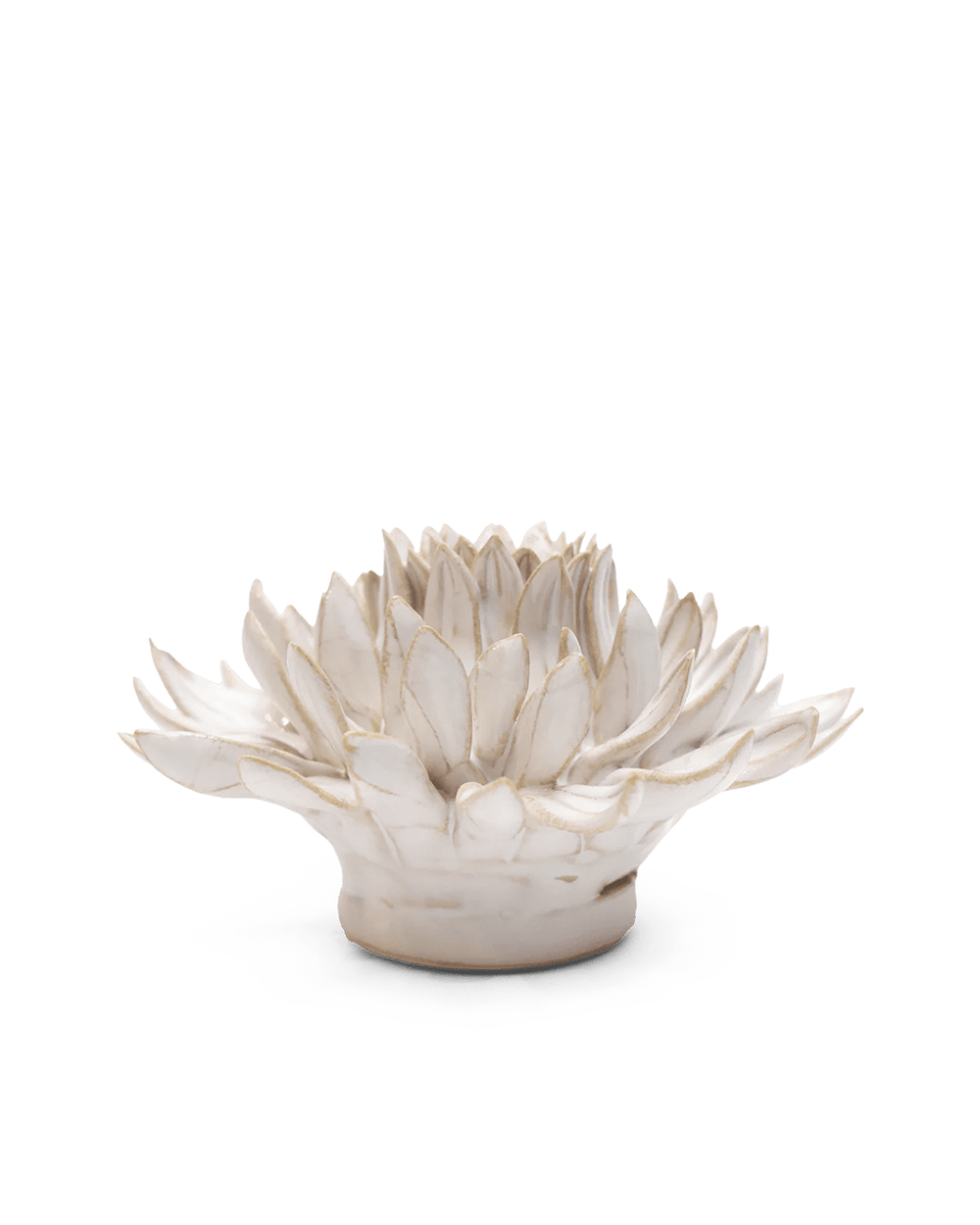 Side view of the Ivory Spider Mum showing tiers of pointed petals above a round base