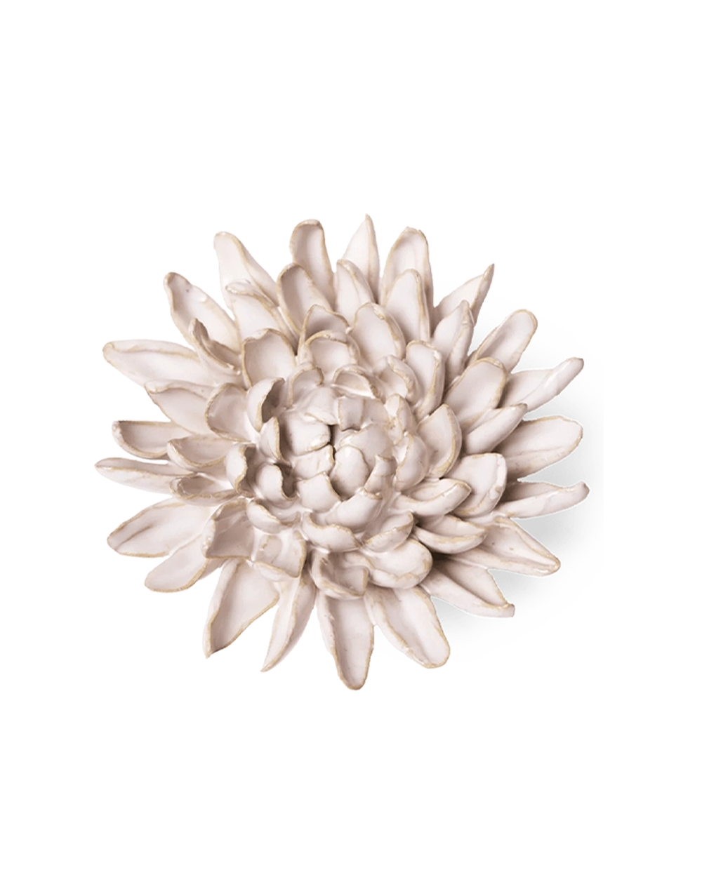Ivory Chrysanthemum ceramic flower, a full dome of narrow cupped petals with tan-edged tips