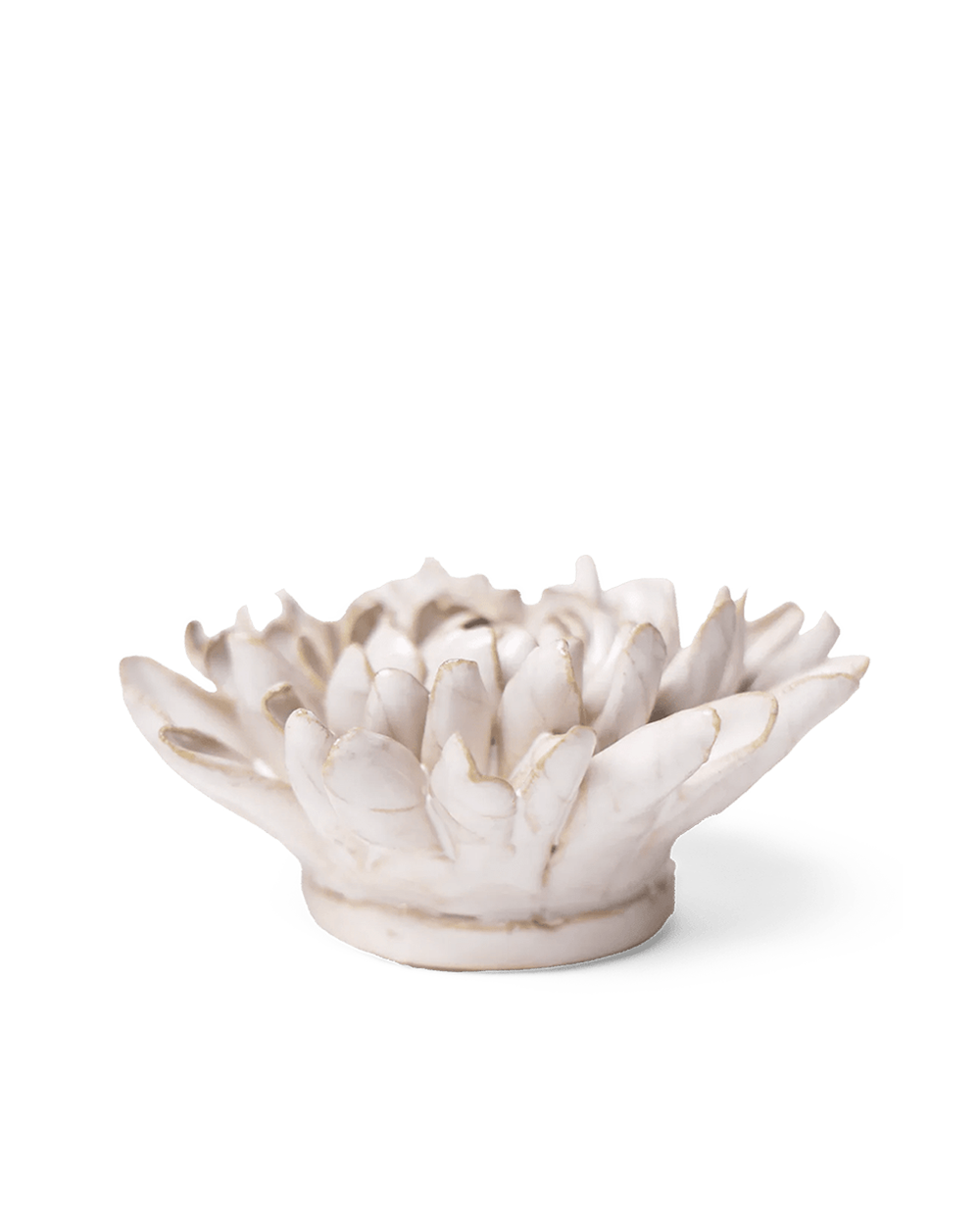 Side view of the Ivory Chrysanthemum showing its rounded, densely layered petals