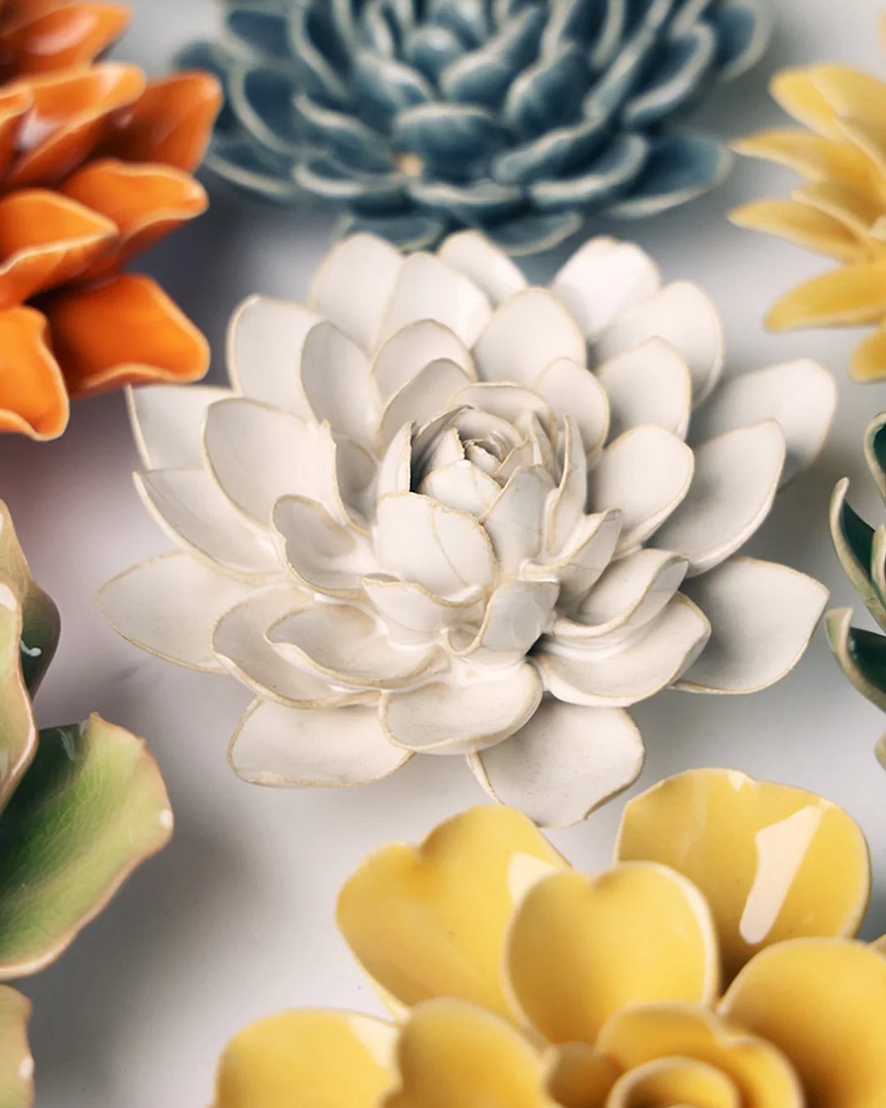 Ivory Snowdrop among orange, blue and yellow ceramic flowers on a wall