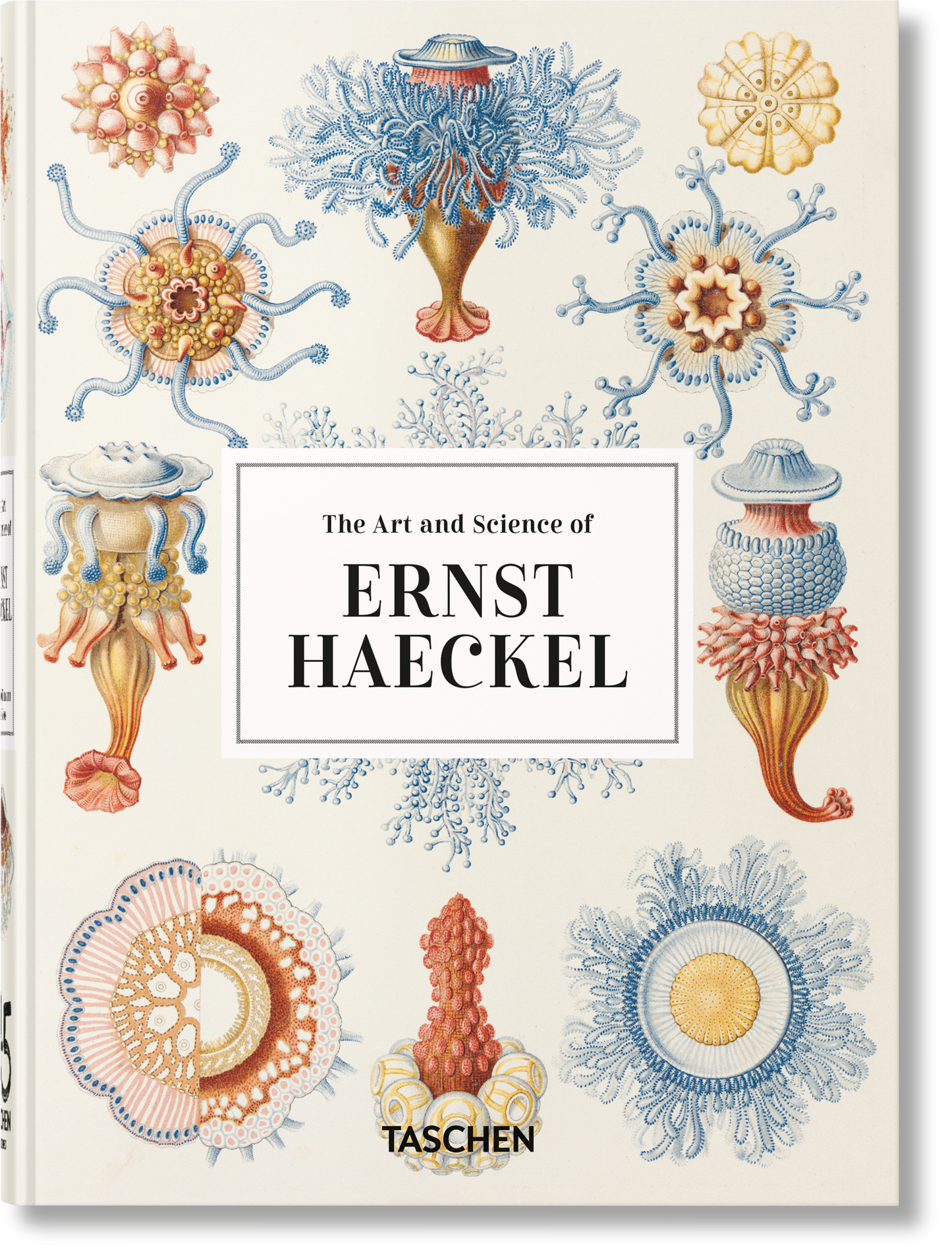 The Art and Science of Ernst Haeckel. 45th Ed (English)