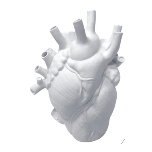 White heart vase shaped like an anatomical human heart with open vessel tops
