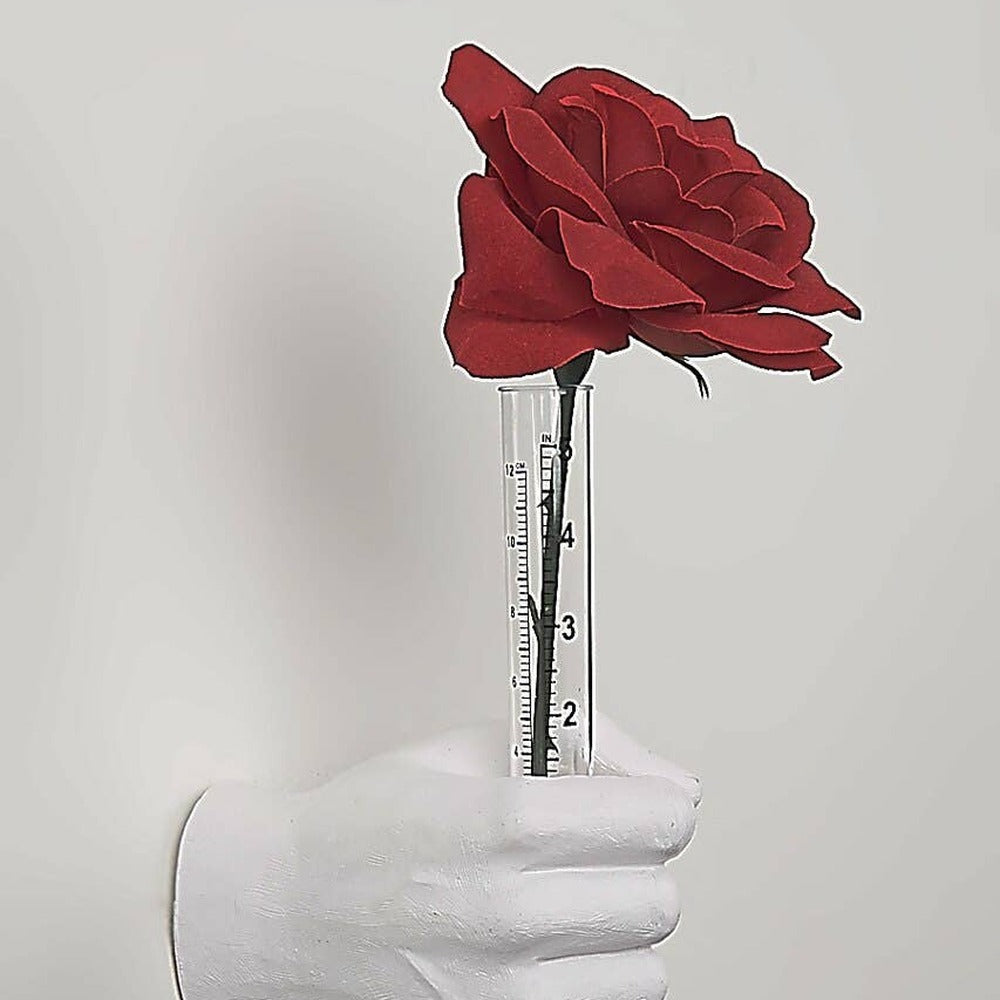 White vase hand wall hook holding a glass tube vase with a single red rose, square crop