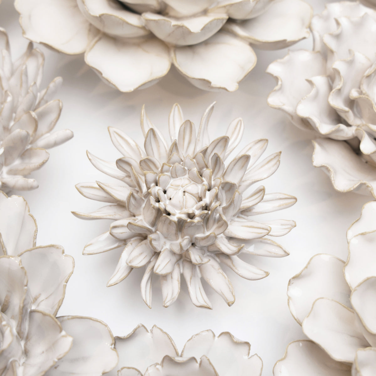Ivory Spider Mum among other ivory ceramic flowers on a white wall