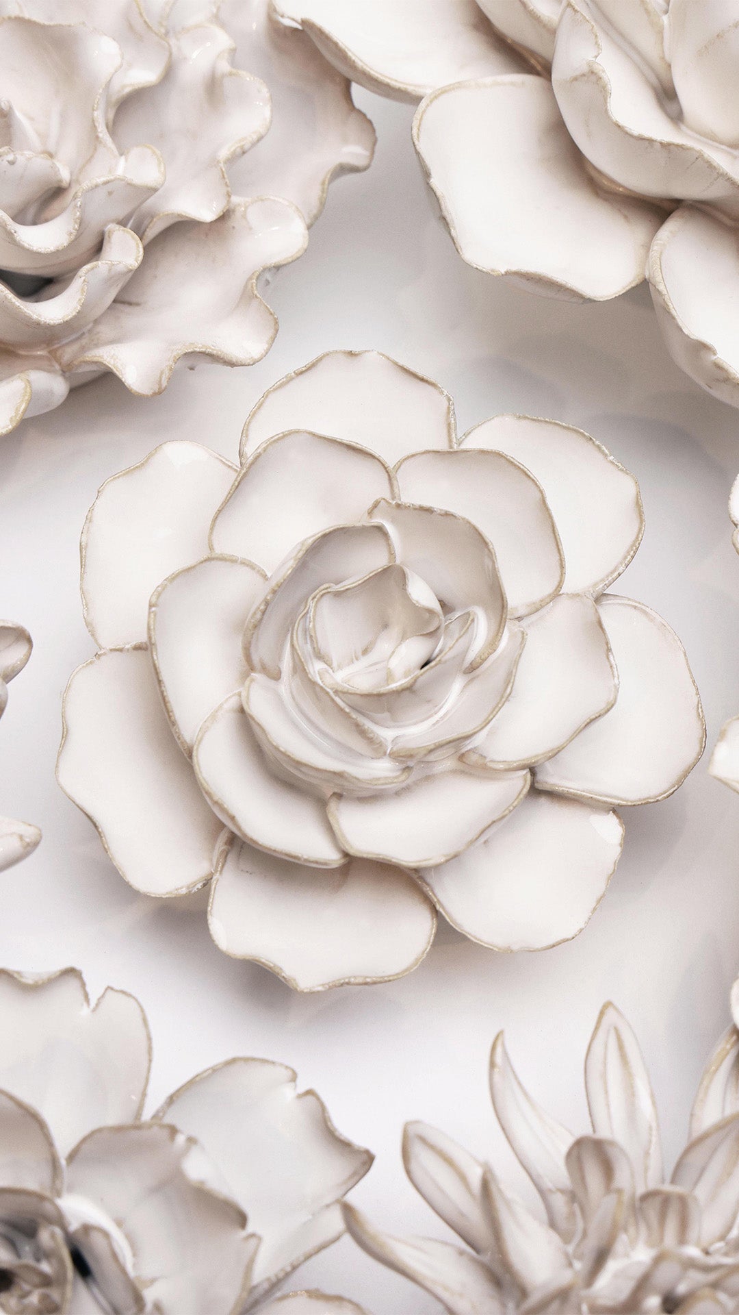Ivory Amandine Ranunculus among other ivory ceramic flowers on a white wall