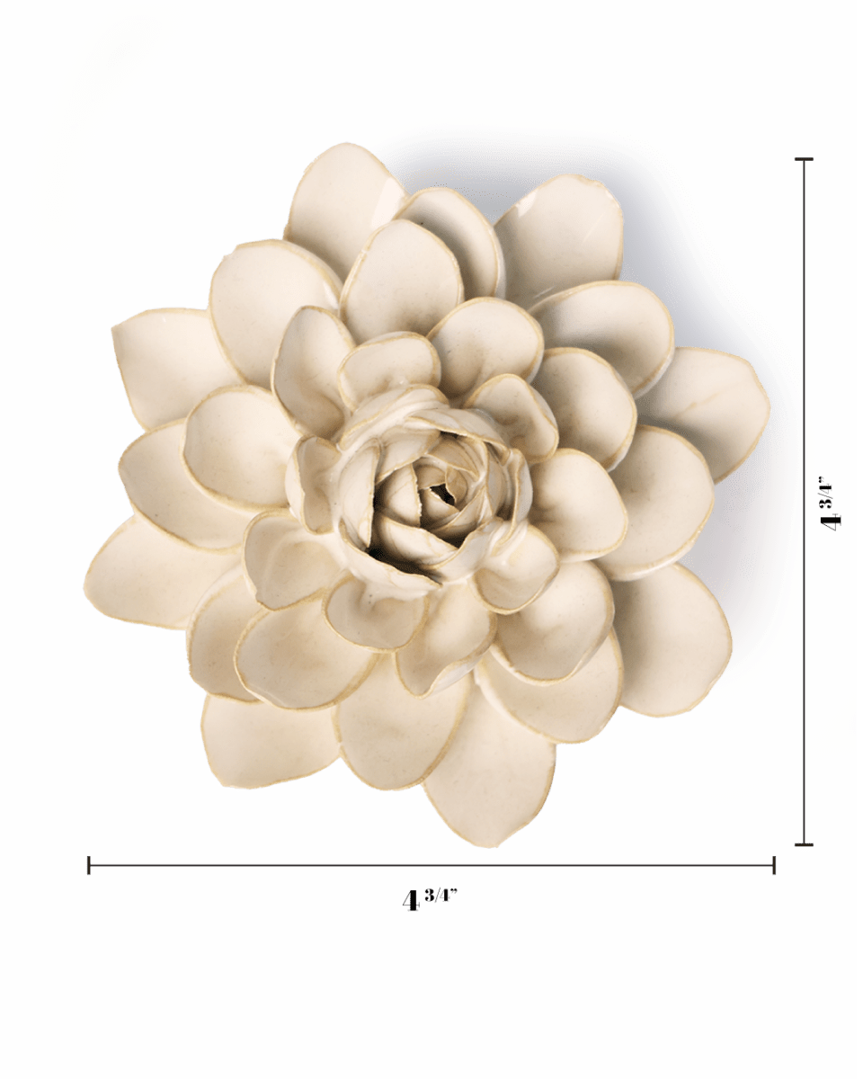 Ivory Snowdrop with measurement lines showing 4 3/4 inches across