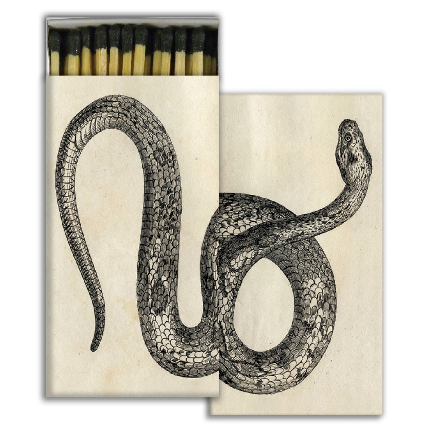 Box of matches with snake illustration.