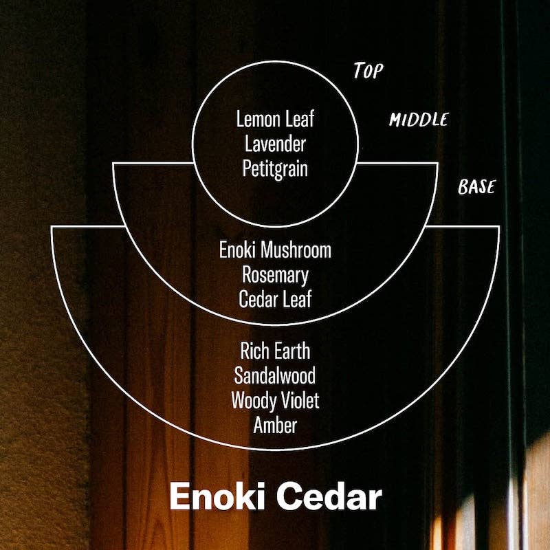 Enoki Cedar– Alchemy Reed Diffuser