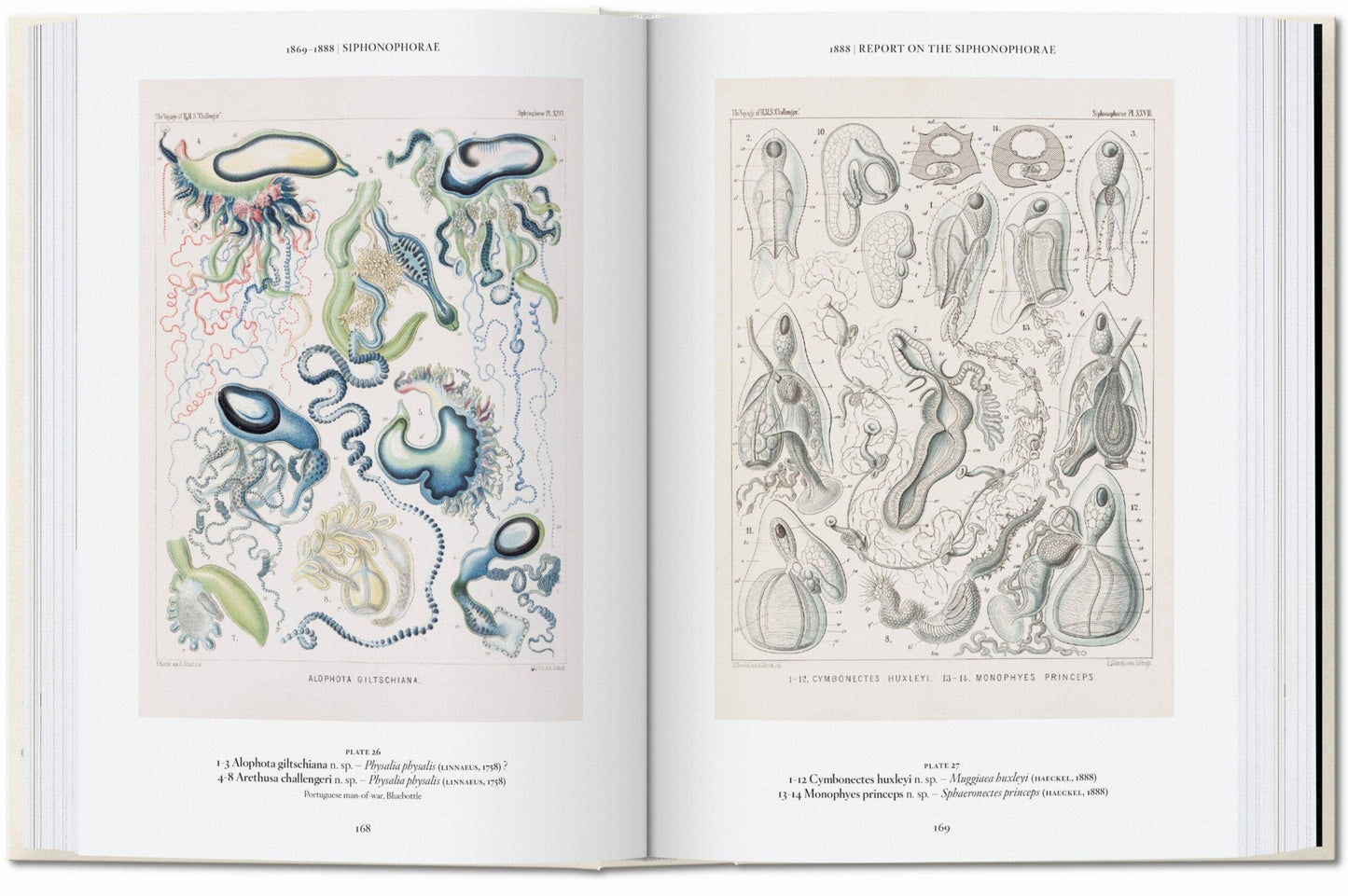 The Art and Science of Ernst Haeckel. 45th Ed (English)