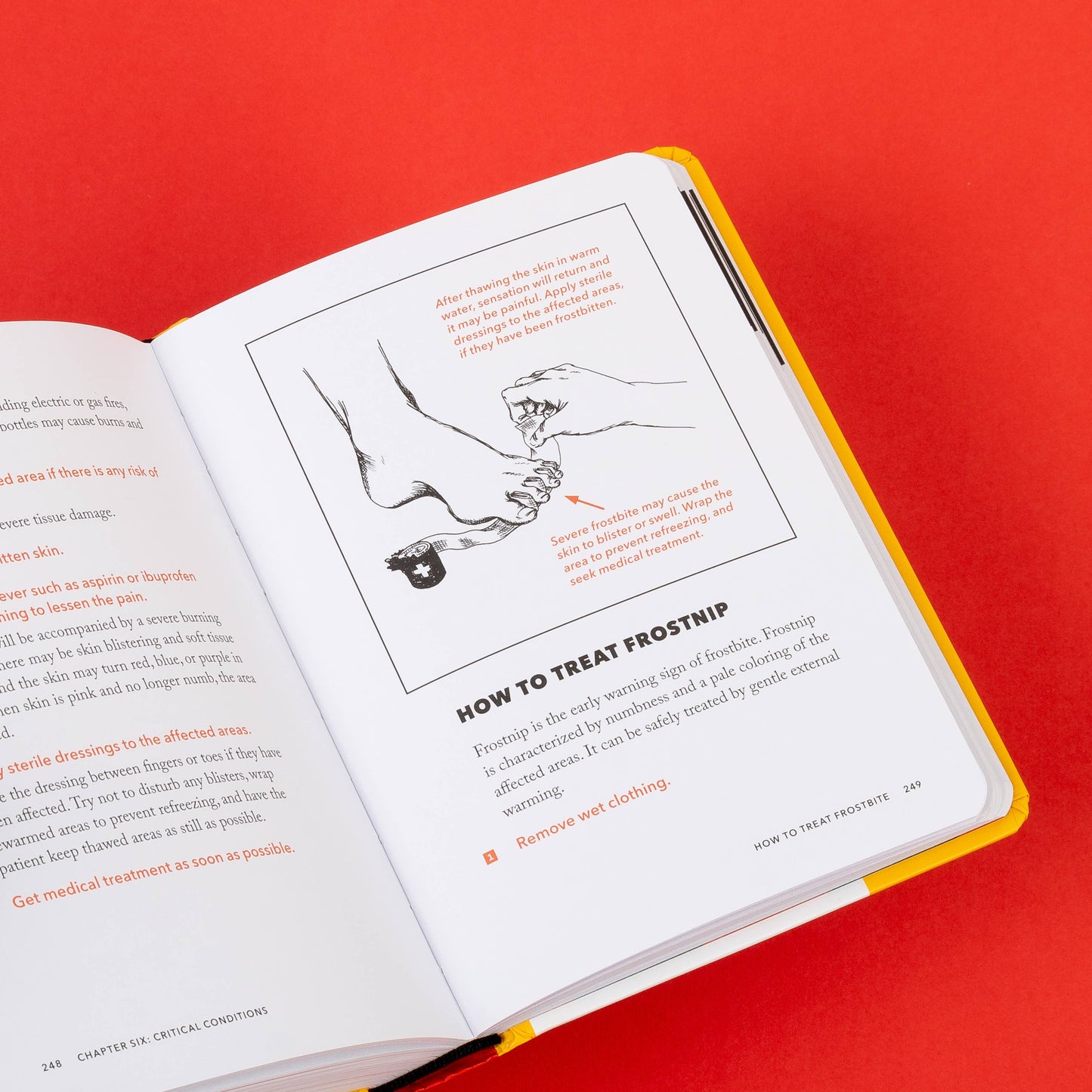 The NEW Worst-Case Scenario Survival Handbook