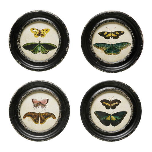 Four Fountaine round wall frames with vintage butterfly and moth prints