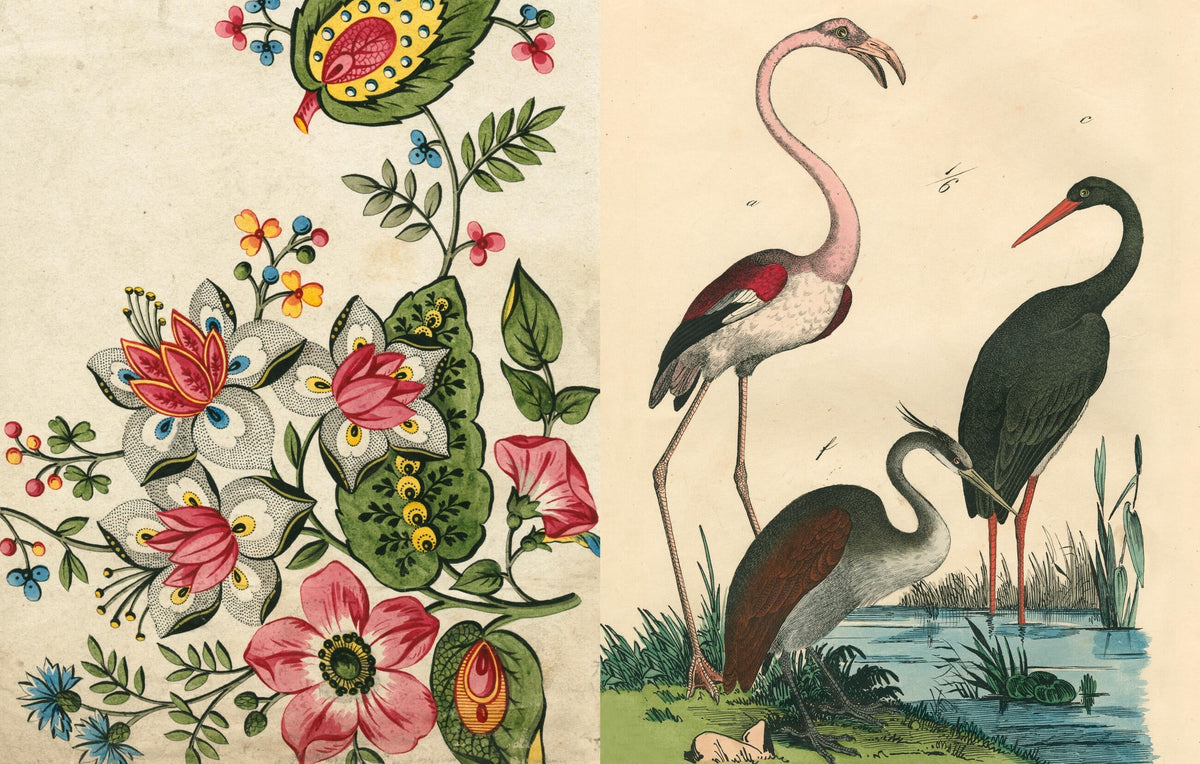 Inside Picture Book II: a folk-art flower painting opposite a flamingo and herons by the water