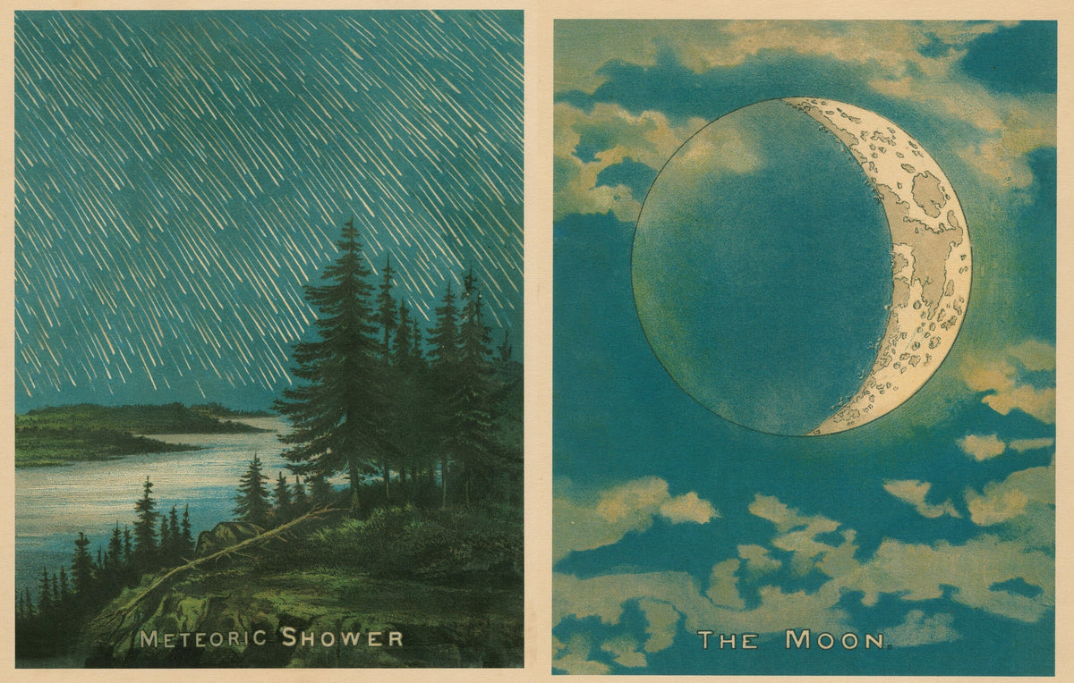 Inside Picture Book II: a night meteor shower over pine trees opposite a crescent moon among clouds