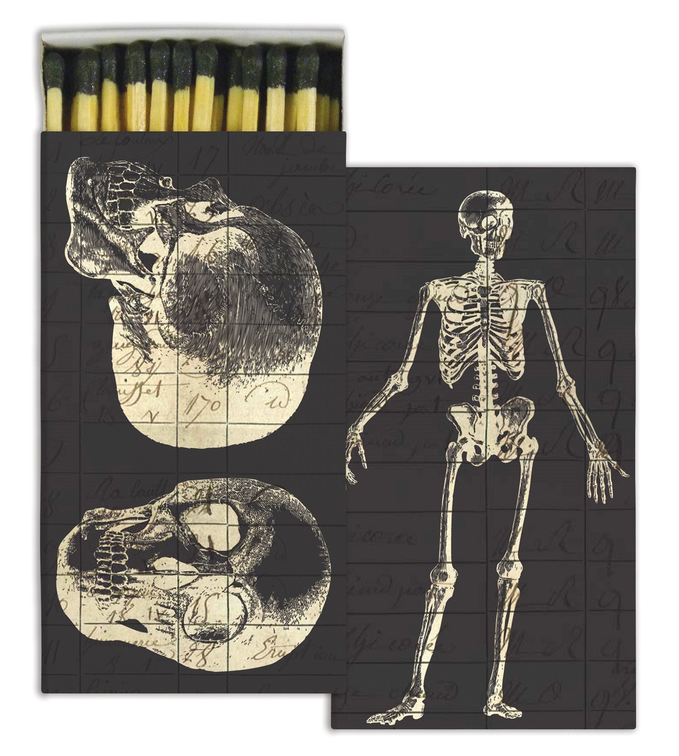 Box of matches with vintage illustration of skeleton on one side and skull on the other, with faint old writing