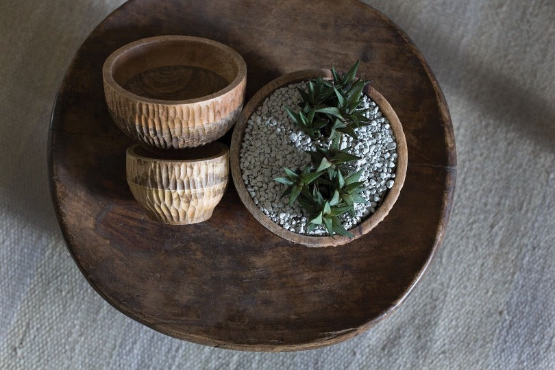 Wooden bowls on table with cacti and white pebbles