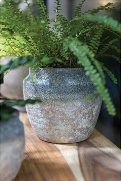 Ceramic pot with blue coloring, with fern inside
