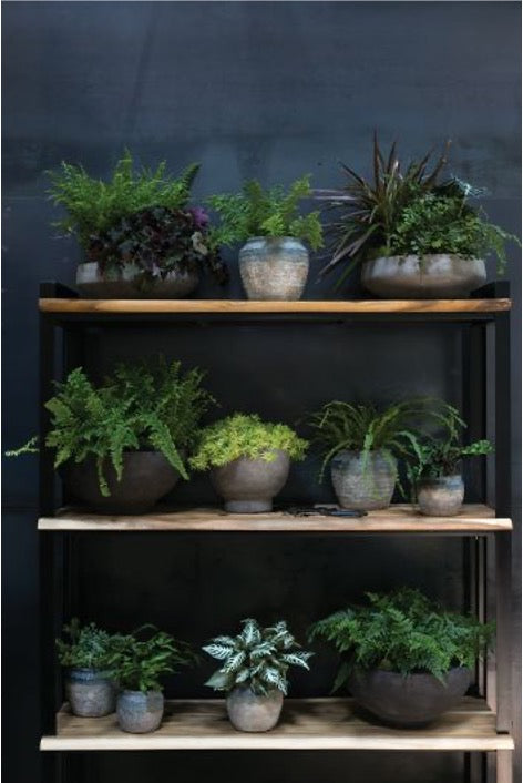 capri plant pots Earthy Pot Medium