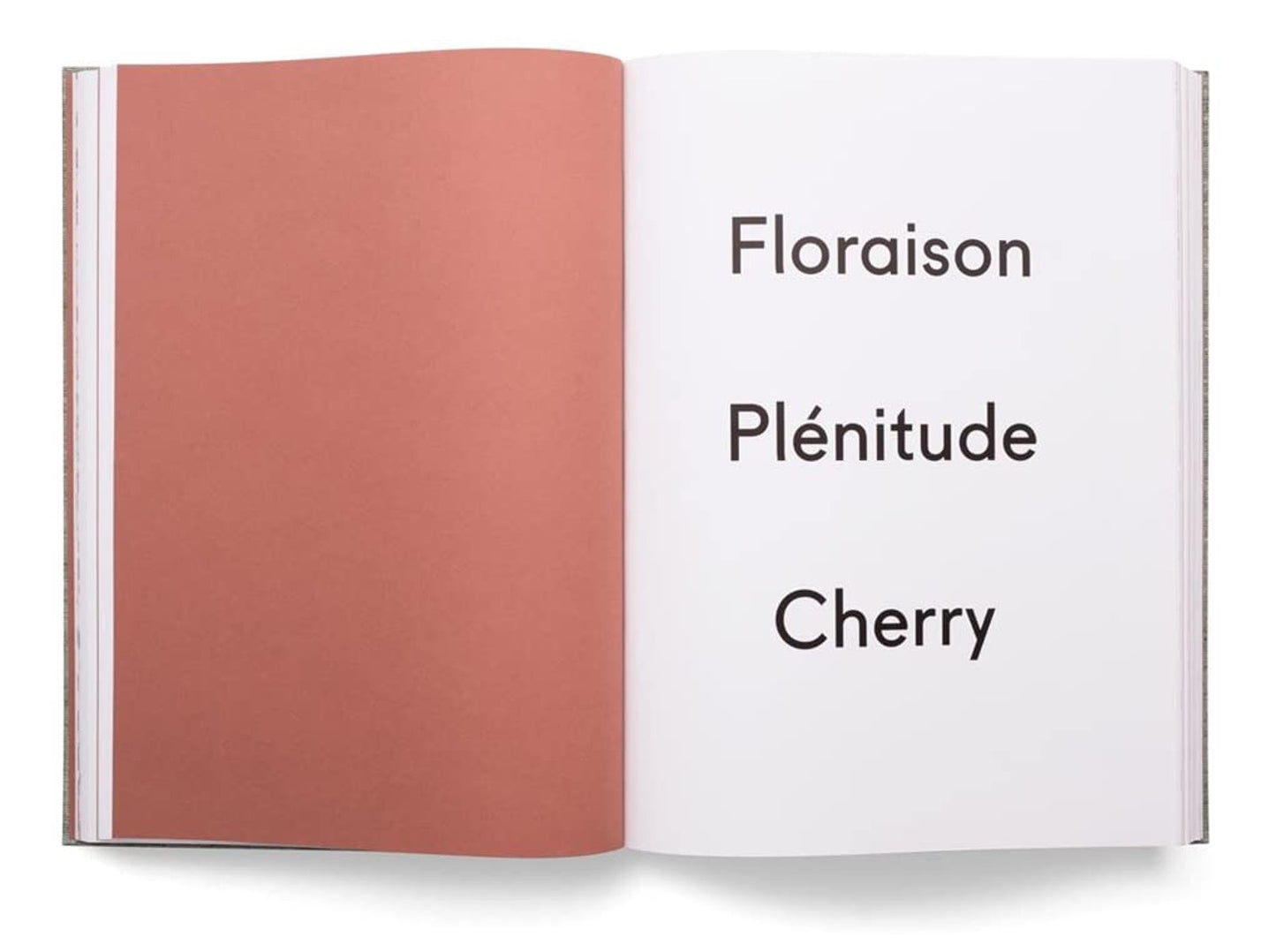 Damien Hirst Cherry Blossoms, page with text.