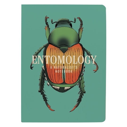 Illustration of beetle on mint green background with text: Entomology A Naturalists Notebook.