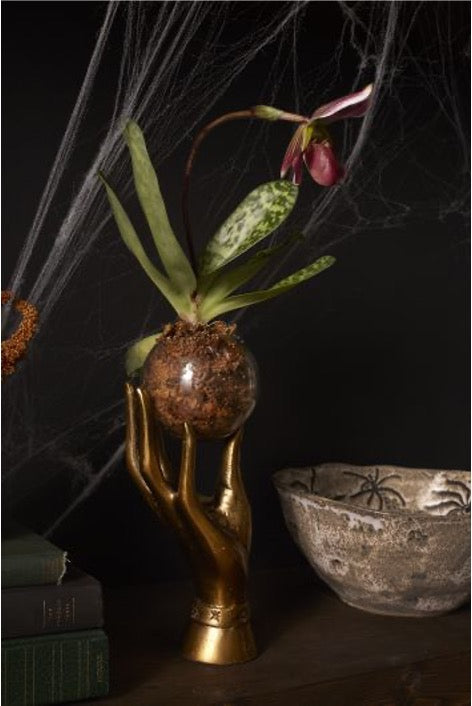 Metal hand in aged brass holding a glass round bowl with an orchid. 