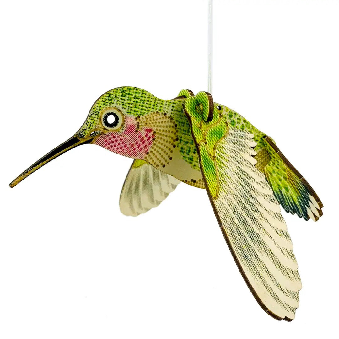 HUMMINGBIRD MODEL