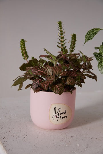Pink pot with peace hand with text - and love.  Flowers inside pot.