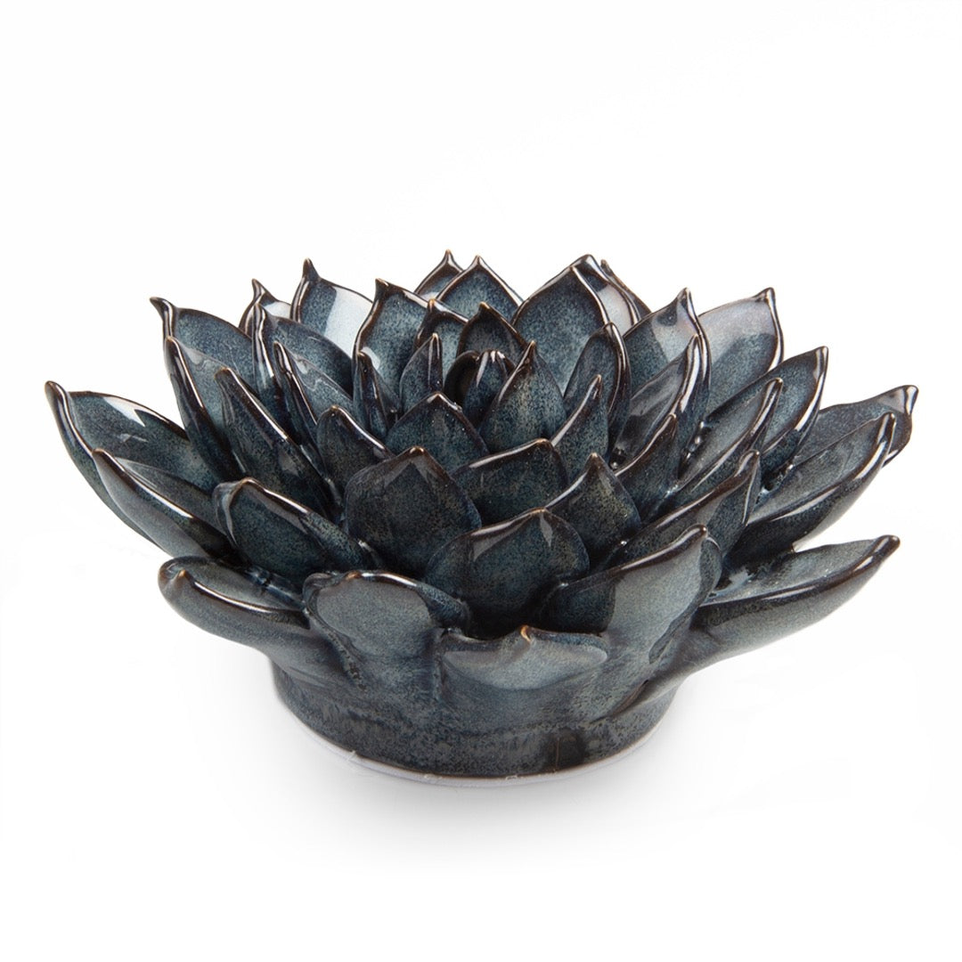 Ceramic succulent in blue grey, side view