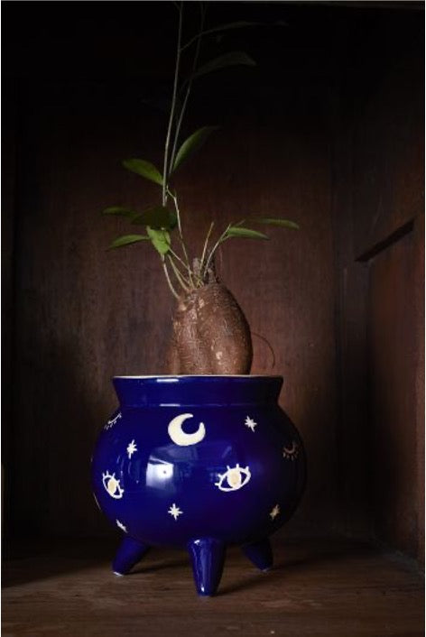 Witches cauldron pot in blue with cosmic illustrations in gold with mandrake plant
