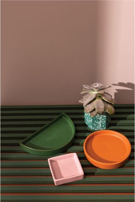 Multi-color saucers in a variety of shapes on table next to plant.